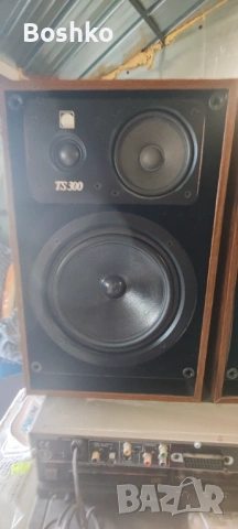 Arcys TS 300, снимка 5 - Тонколони - 53498229