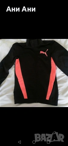 Нова горница Пума