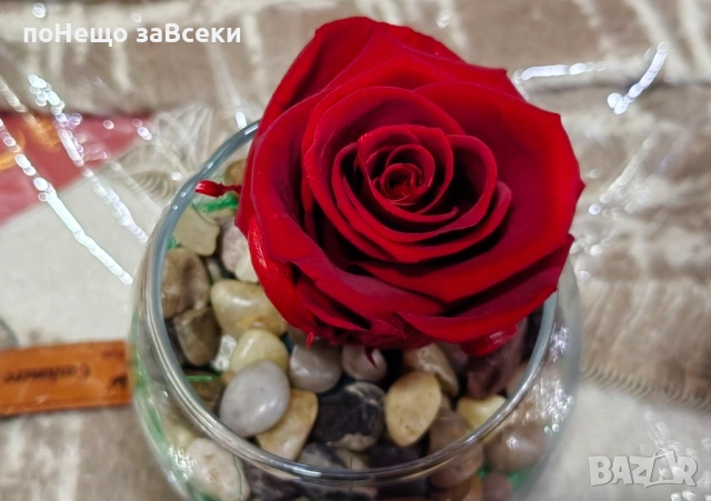 (НОВО) Вечна роза - вечна любов