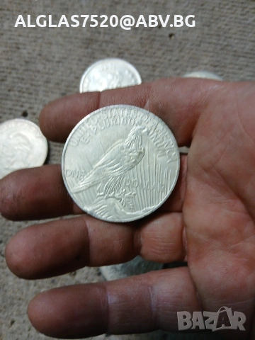 Реплики на всички американски сребърни долари, снимка 4 - Нумизматика и бонистика - 53508502