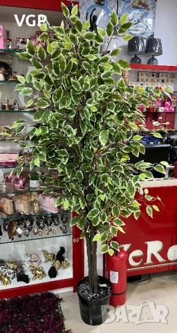 Изкуствен фикус Бенджамин с пъстри листа