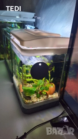 Аквариум 9л., снимка 2 - Аквариуми - 54083492