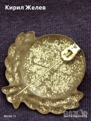 Две значки AMBASSADOR,DR.OETKER стари редки за КОЛЕКЦИЯ ДЕКОРАЦИЯ 29775, снимка 7 - Колекции - 50572432