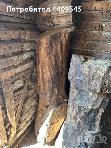 Орехови материял/трупи, снимка 3 - Други - 53932805