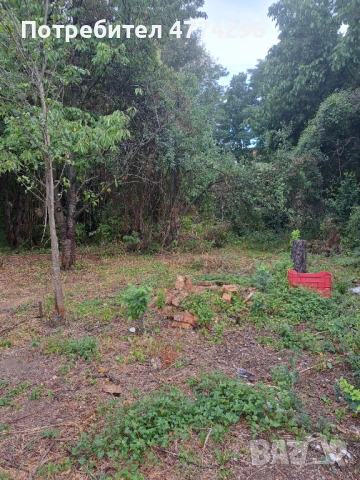 Продавам парцел в с. Смолско,общ. Мирково, снимка 2 - Парцели - 53937769