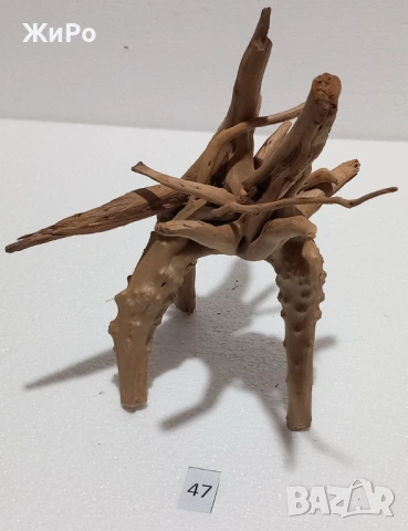 Корен от Азалия /декорация/ 47, снимка 3 - Други - 54102104