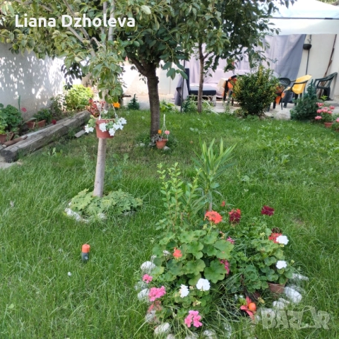 стаи за гости нощувки под наем в Банско, снимка 16 - Квартири, нощувки - 51681254