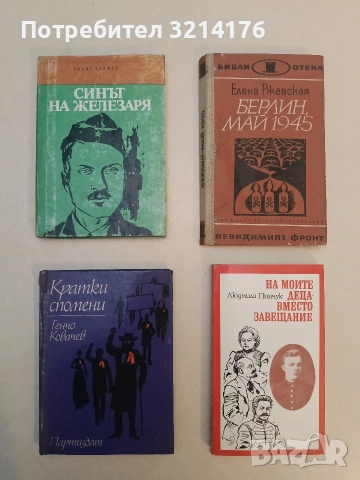 Синът на железаря - Салис Таджер