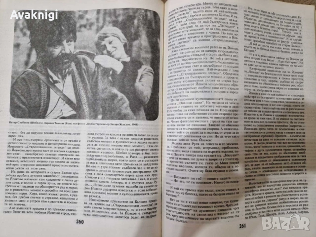 Учебник по литература за 10. клас, 350 стр., снимка 4 - Учебници, учебни тетрадки - 54154306