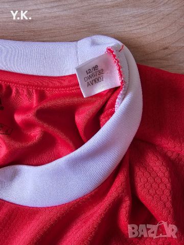 Оригинална мъжка тениска Adidas Climacool x S.L. Benfica / Season 19-20 (Home), снимка 4 - Тениски - 43922330