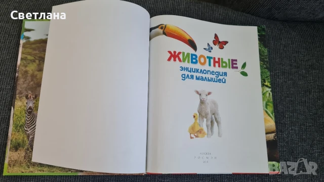 Детски книжки на руски език , снимка 9 - Детски книжки - 50683527