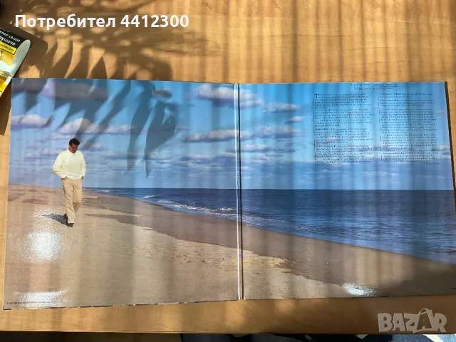 Грамофонна плоча, снимка 3 - Грамофонни плочи - 49762403