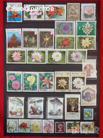 Пощенски марки тема ”Растения”., снимка 6 - Филателия - 45653043