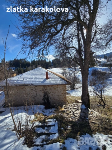 Продава се къща с имот в с. Гела, снимка 9 - Къщи - 53756750