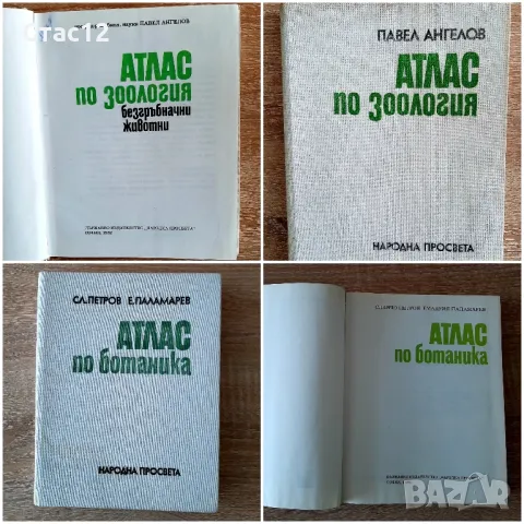 Атлас по ботаника и Атлас по зоология за25лв, снимка 1 - Специализирана литература - 47753087