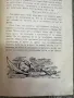 Книга приключенията на Мюнхаузен с илюстрации от Гюстав Доре  1955 г. , снимка 4