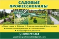 Градинарски услуги КОСЕНЕ КАСТРЕНЕ Почистване на парцели ОЗЕЛЕНЯВАНЕ, снимка 17