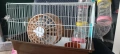 Клетки за хамстери , снимка 4