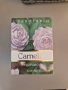 Camelia 50ml дамски парфюм, снимка 2