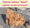 големи Горски КАМЪНИ за Декорация в двора, на цветни лехи, градински пътеки, кашпи, саксии, фонтани…, снимка 11