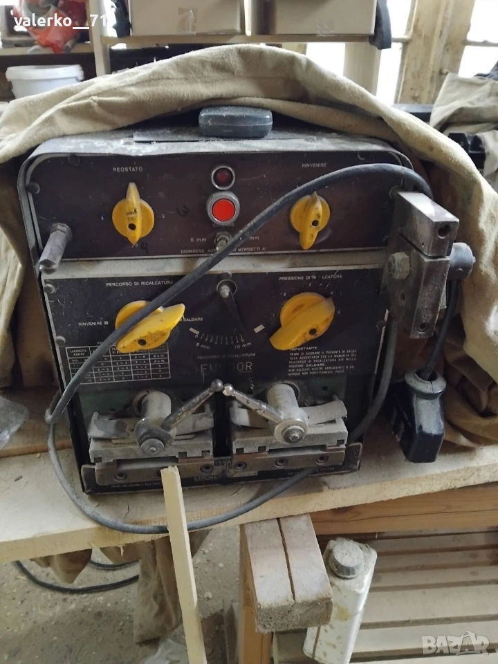 Лентолепачка , снимка 1