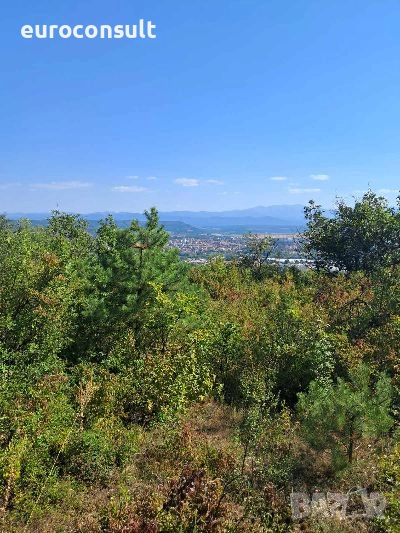 парцел гр.Севлиево,1560 кв.м ,местност "Крушевски баир ", снимка 1