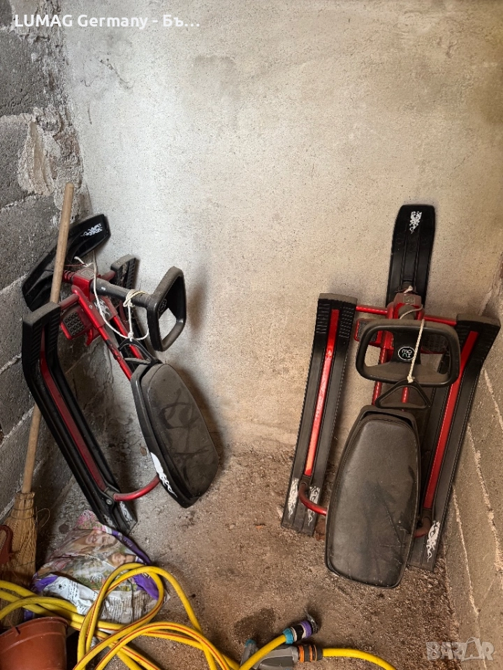 Шейна, снимка 1