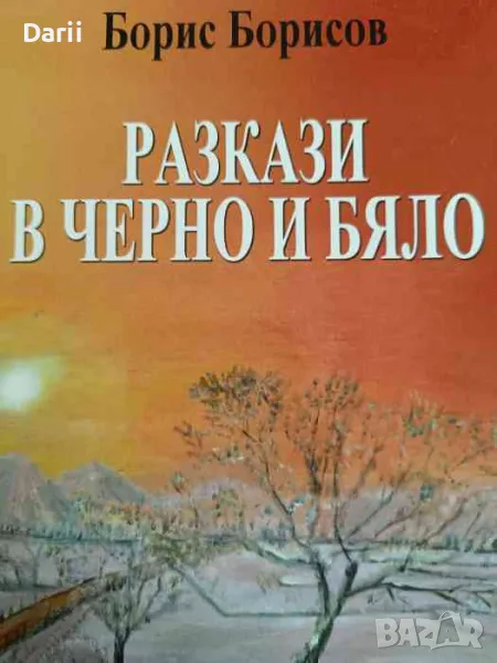 Разкази в черно и бяло- Борис Борисов, снимка 1