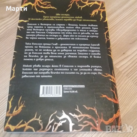 Кралството на прокълнатите, снимка 2 - Художествена литература - 52909682