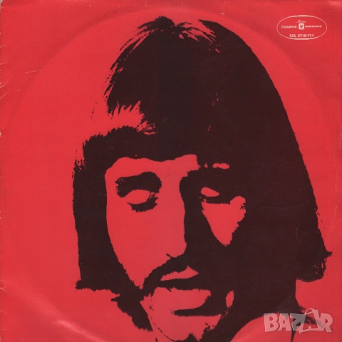 Niemen, снимка 2 - Грамофонни плочи - 53708582