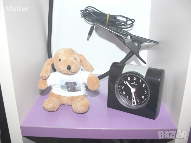 Panasonic Lumix DMC-FZ30, снимка 10 - Фотоапарати - 53636514