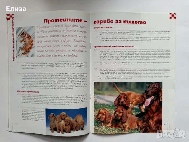 Purina Клуб брой 11, април 2007, снимка 8 - Списания и комикси - 47087367