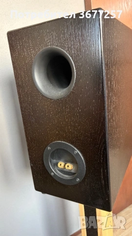 X-project D2.1ex - Swans D2.1, снимка 9 - Тонколони - 53582412