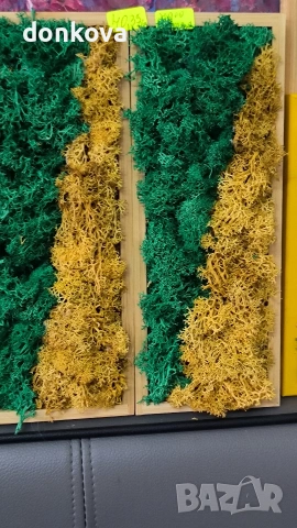 живи картини декорации от скандинавски мъх., снимка 11 - Картини - 53978658