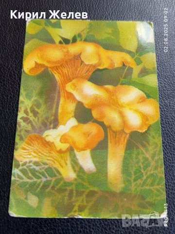 Старо календарче 90г. серия диви гъби много красиво за КОЛЕКЦИЯ ДЕКОРАЦИЯ 35342
