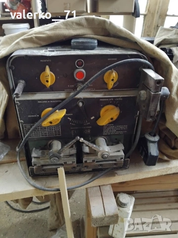 Лентолепачка 