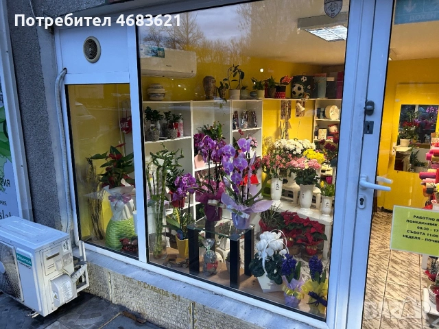 Магазин под наем София-център, снимка 2 - Магазини - 53387738