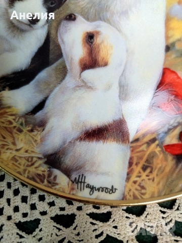 Чинии за стена Джак Ръсел -колекция, снимка 7 - Декорация за дома - 52345720