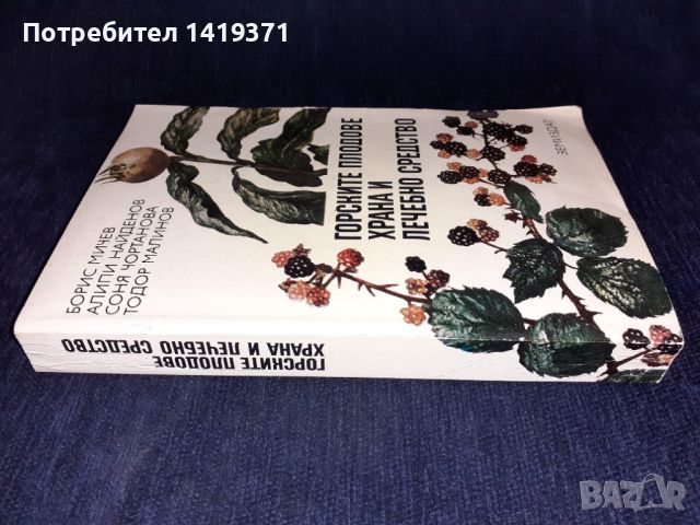 Горските плодове храна и лечебно средство - Борис Мичев, Алипи Найденов, Соня Чортанова, Тодор Малин, снимка 3 - Специализирана литература - 45614208