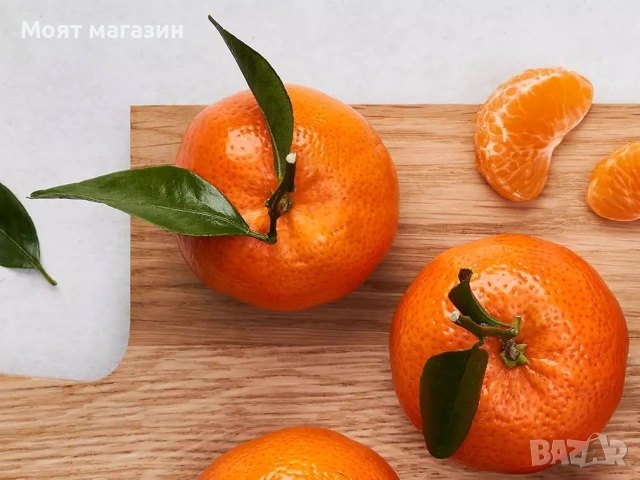 Цитрусови растения – Лимон , Портокал , Мандарина, Грейфрут ,Кумкуат , Лайм , Див лимон и Каламондин, снимка 6 - Градински цветя и растения - 53632778