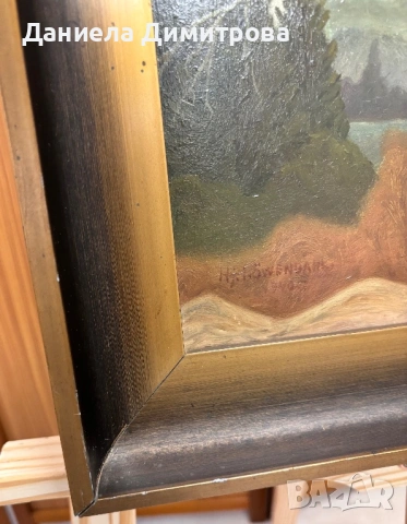 Рисувана картина на фазер, снимка 8 - Картини - 54205558