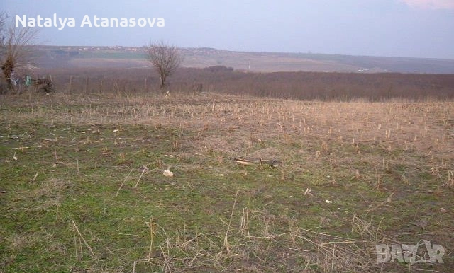 Къща за продажба в Сърнец, област Добрич, снимка 7 - Къщи - 53656477