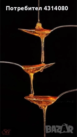 Натурален пчелен мед!!!!, снимка 4 - Пчелни продукти - 51655444