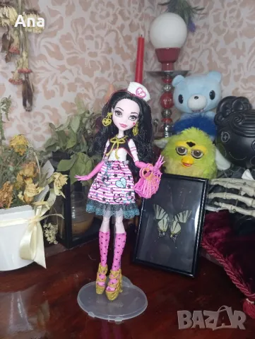 monster high shriekwrecked draculaura G2 монстър хай , снимка 2 - Кукли - 48816746