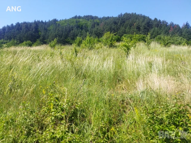 Продава парцел в гр.Девин , снимка 15 - Парцели - 50804650