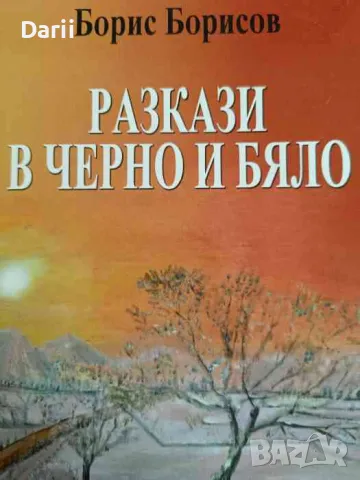 Разкази в черно и бяло- Борис Борисов, снимка 1 - Българска литература - 47214133