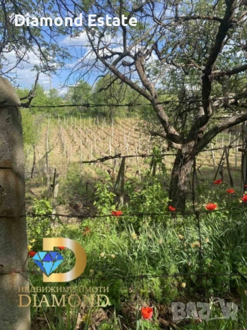 Имот с две вили в гр. Харманли, снимка 9 - Вили - 53118289