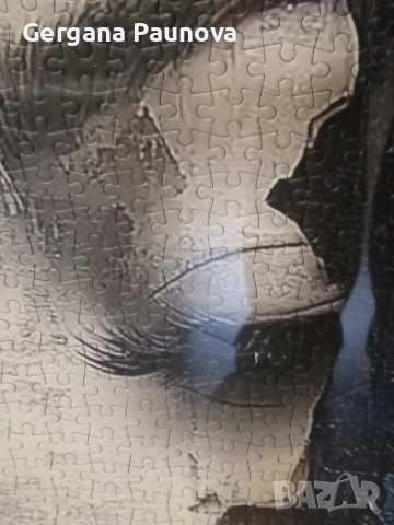 Пъзел на картина с име "Две стихии" , снимка 3 - Картини - 54116642