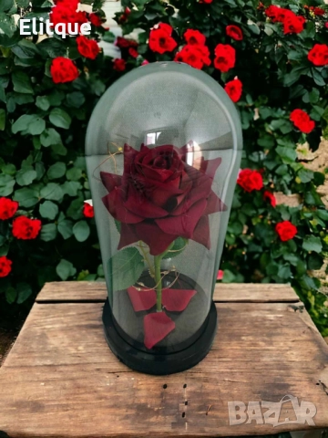 Красива осветена роза в стъкленица с красива подаръчна кутия, снимка 5 - Подаръци за жени - 52778638