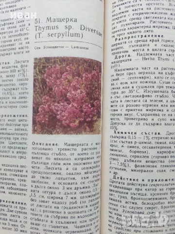 Природна Аптека - Д.Памуков,Х.Ахтарджиев - 1990г., снимка 4 - Енциклопедии, справочници - 48175462